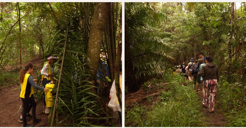 Trilha na selva durante a imersão de sobrevivência