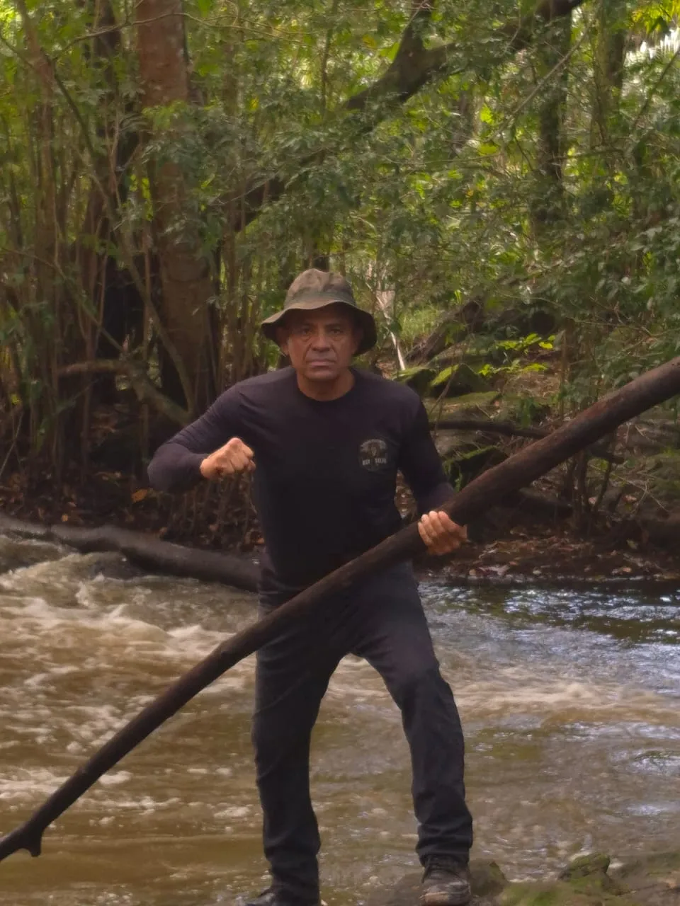Rei da Selva na Mata Atlântica