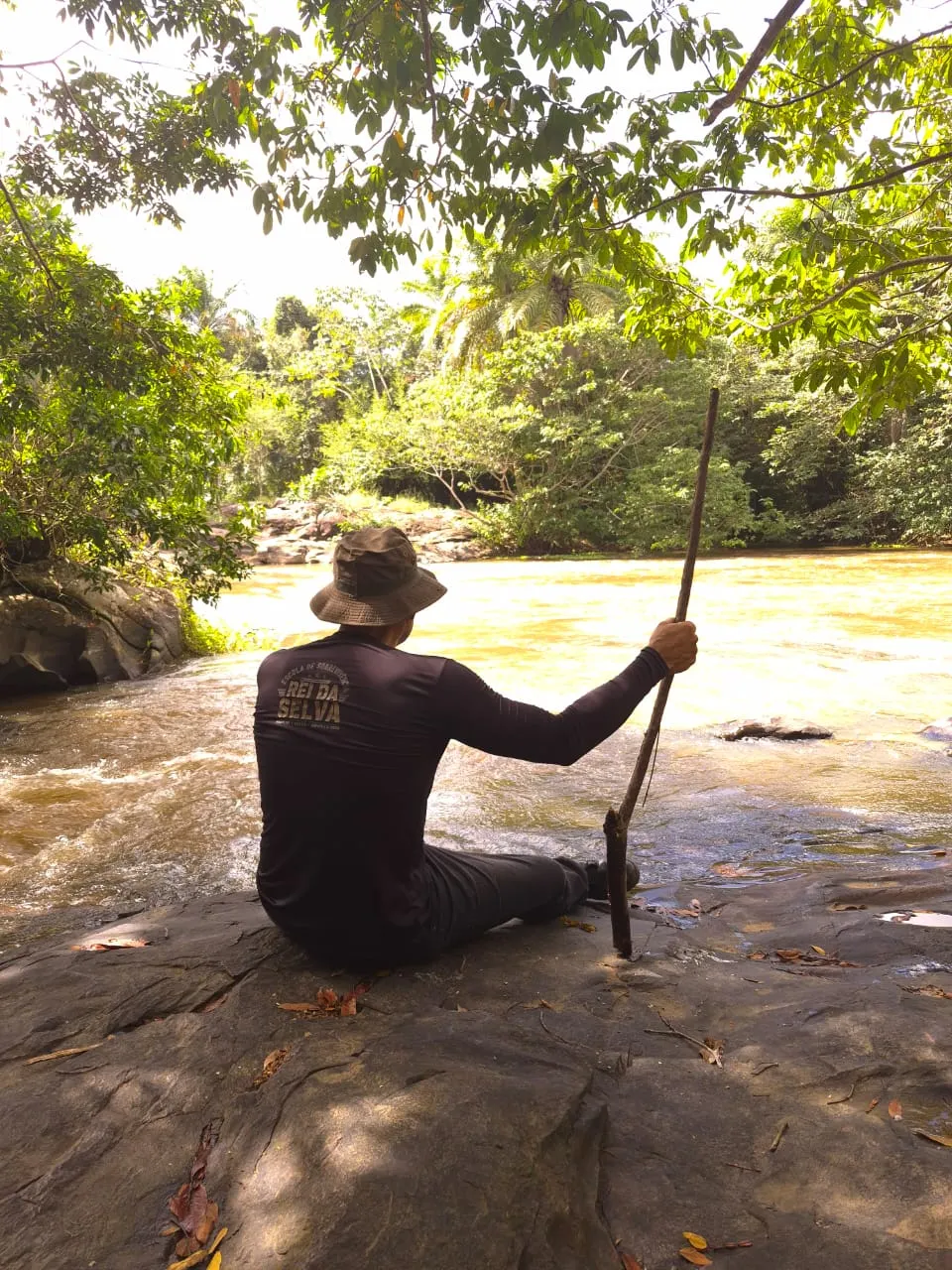 Certificações e experiência do Rei da Selva